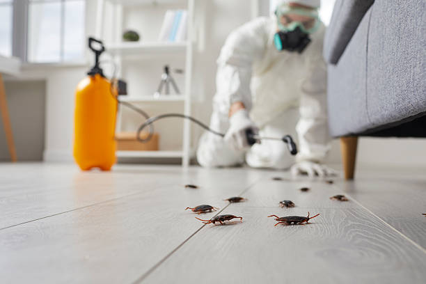 Commercial Rodent Management in Marion